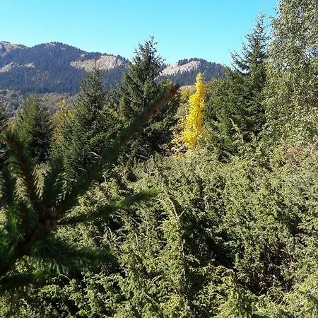 Alpesi faház Chalet Tara *