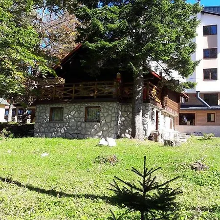 Alpesi faház Chalet Tara *