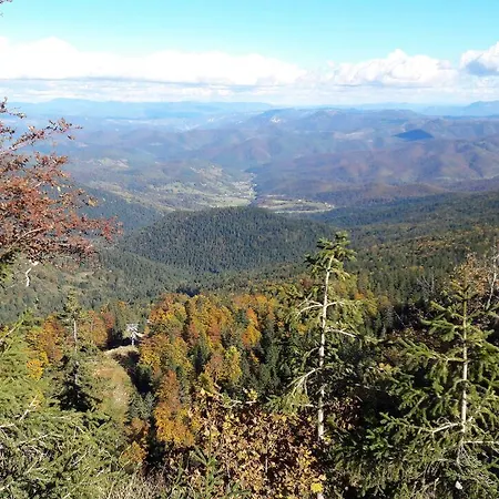 Alpesi faház Chalet Tara *