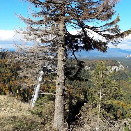 Alpesi faház Chalet Tara *