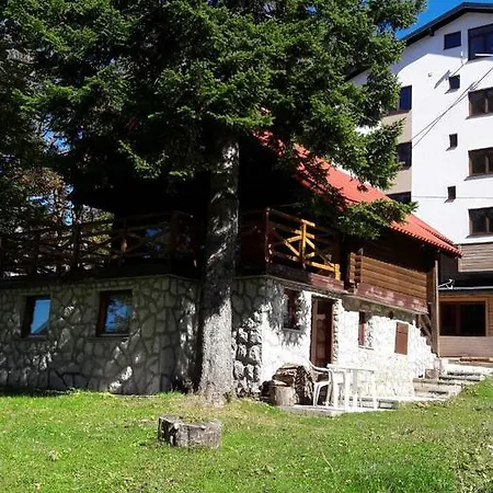 Alpesi faház Chalet Tara *
